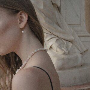 Meet your Posher, Nesnes